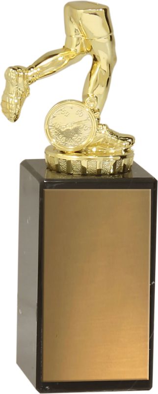 S0048 Track Marble Series 18cm