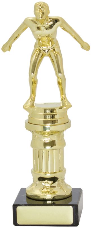 S8073 Swim Trophies Doric 19cm