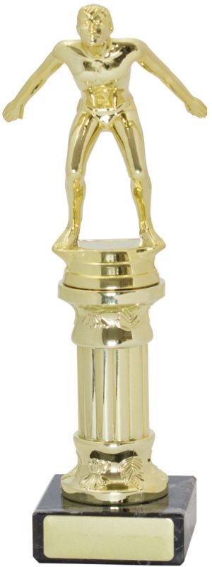 S8074 Swim Trophies Doric 20.5cm