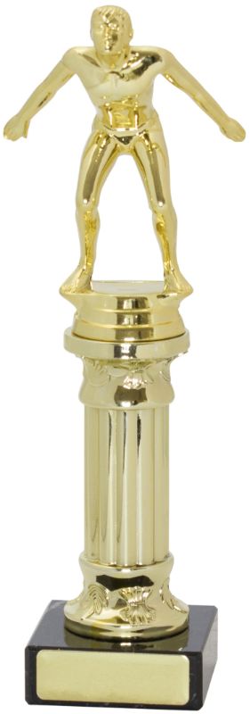 S8075 Swim Trophies Doric 22cm
