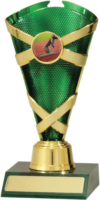 S8091 Track Spectrum Cups 17.5cm