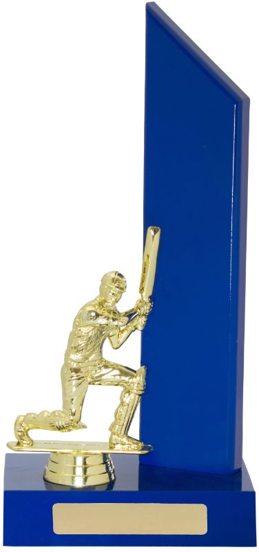 S9035 Cricket Blue Wing 27cm