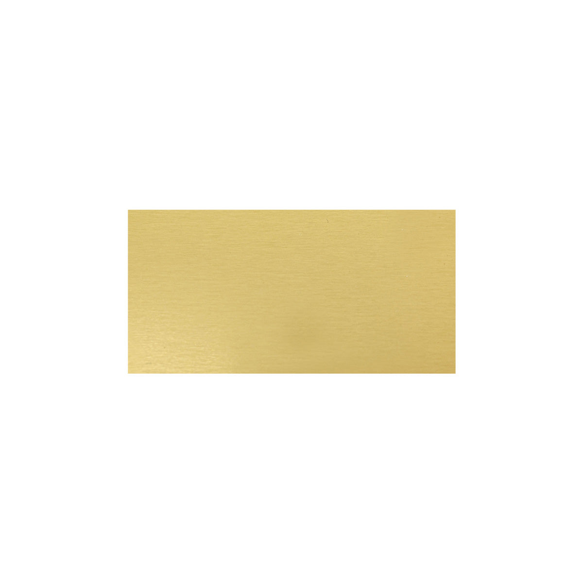 SG4824 Trophy Plate - 48x24mm