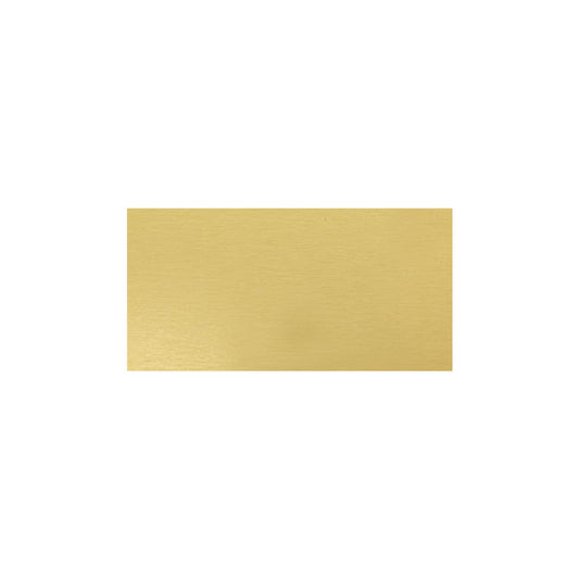SG4824 Trophy Plate - 48x24mm