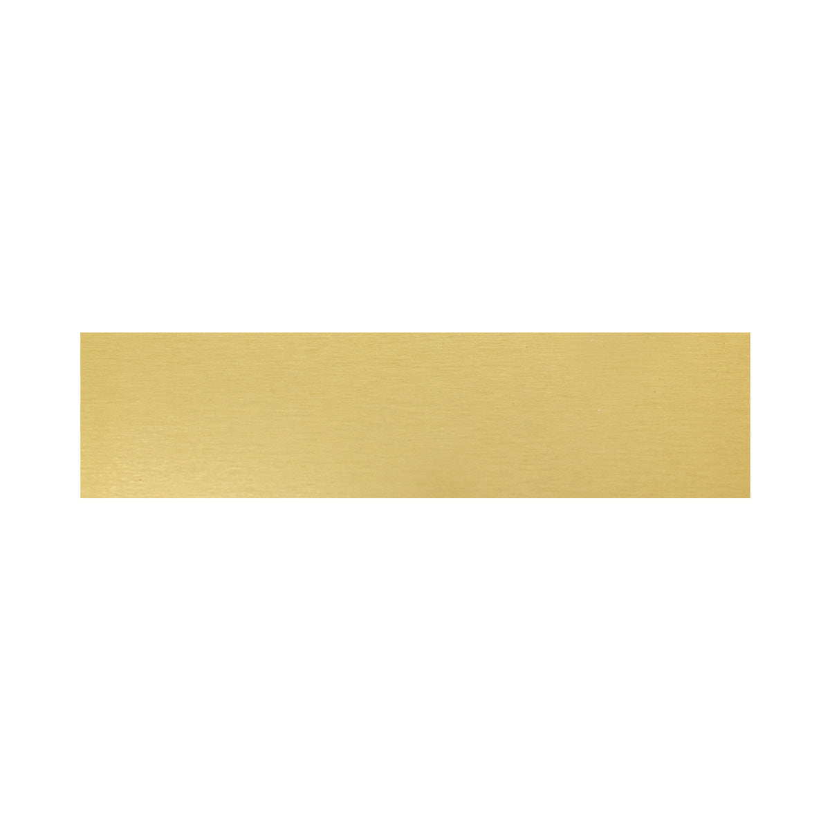 SG6917 Trophy Plate - 69x17mm