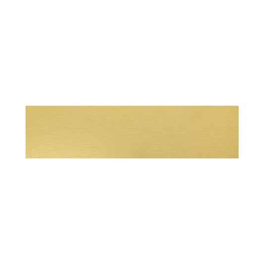 SG6917 Trophy Plate - 69x17mm