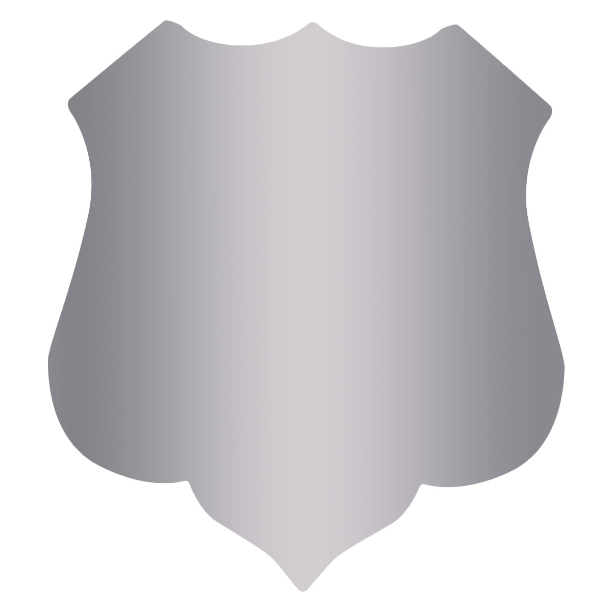 SHIELD-NO3-S Silver Shield 40mm