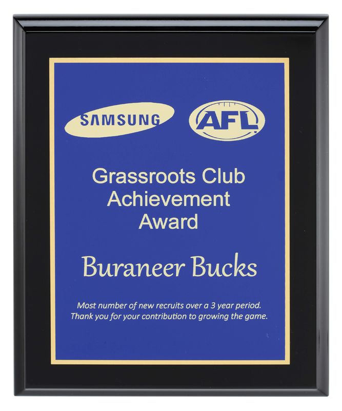 SK-57BU Designer Plate Plaque 22.5cm