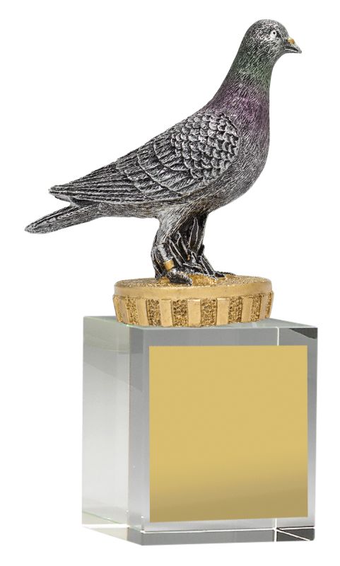 UB05A Pigeon Budget Crystal 12cm