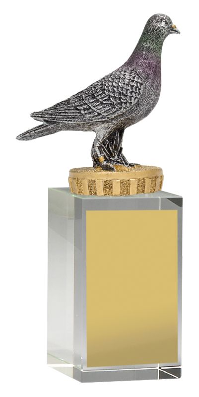 UB05B Pigeon Budget Crystal 16cm