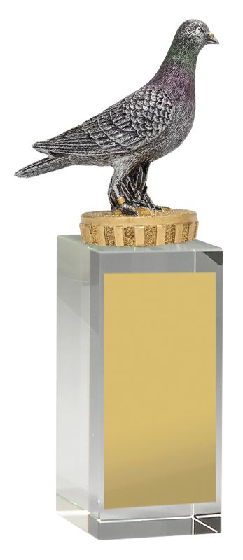UB05C Pigeon Budget Crystal 17.5cm