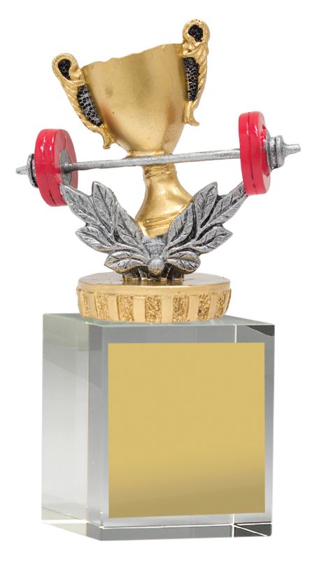 UB62A Gym Budget Crystal 12cm