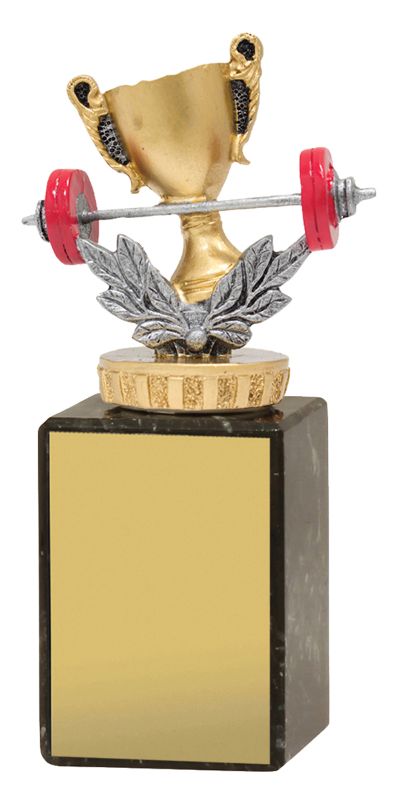 UM62C Gym Marble 15.5cm