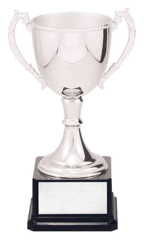 VT10-2 Engravable Cups 25cm