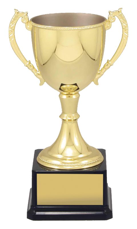 VT10 Engravable Cups 25cm