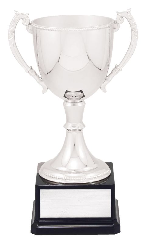 VT11-2 Engravable Cups 28cm