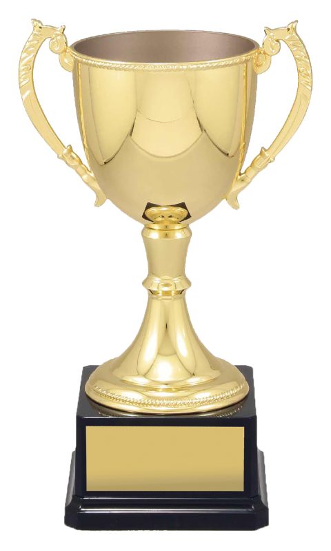 VT11 Engravable Cups 28cm