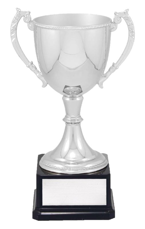 VT12-2 Engravable Cups 31cm