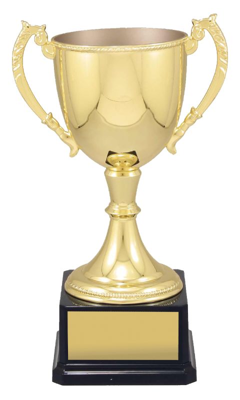 VT12 Engravable Cups 31cm