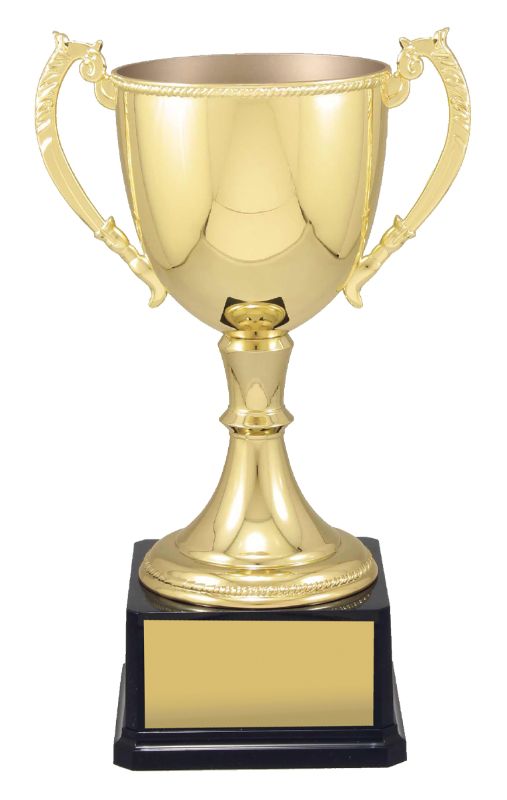 VT14 Engravable Cups 36cm