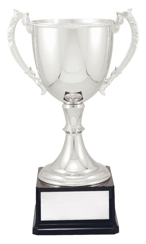 VT16-2 Engravable Cups 42cm