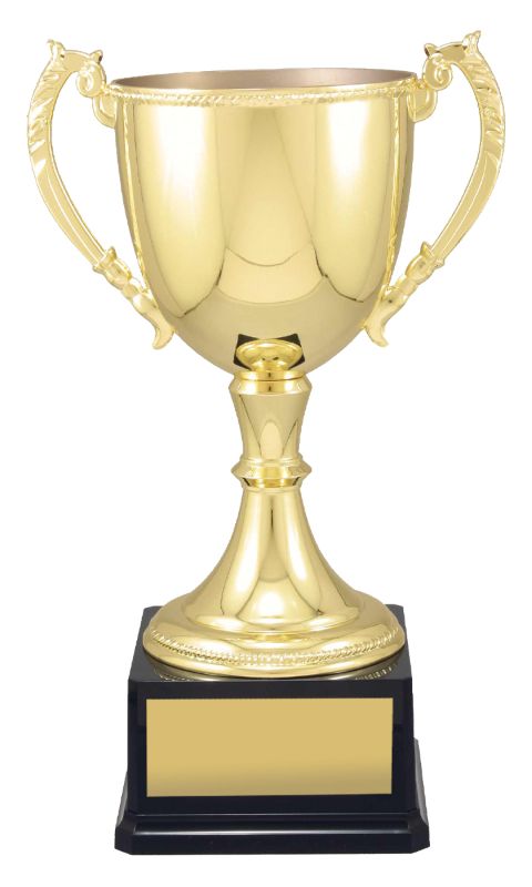 VT18 Engravable Cups 47cm