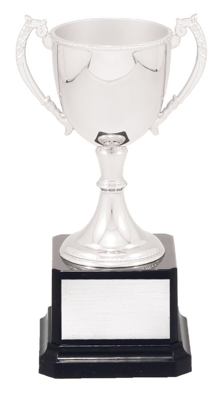 VT7-2 Engravable Cups 17cm