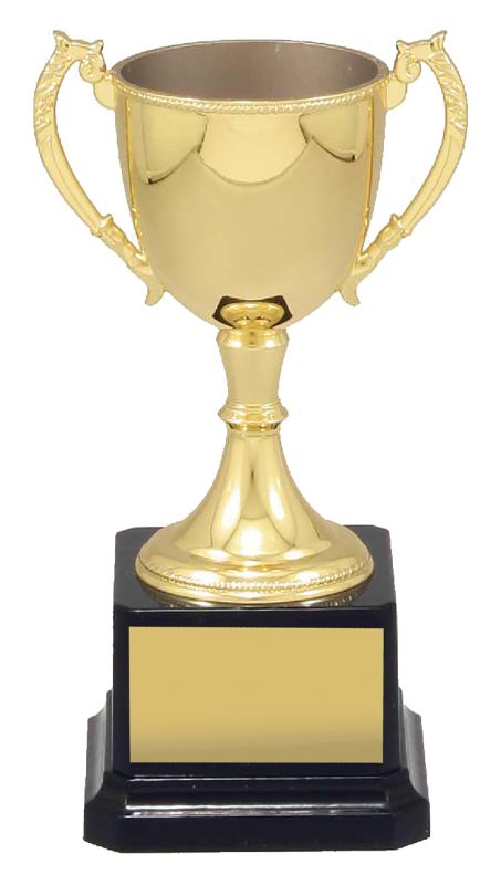 VT7 Engravable Cups 17cm