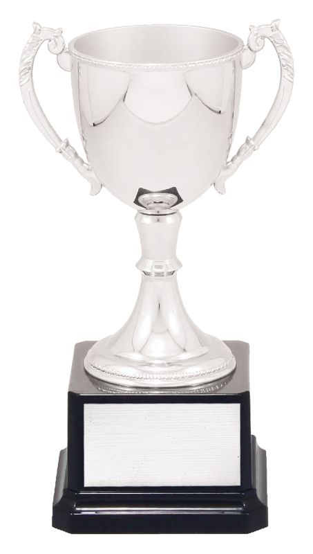 VT8-2 Engravable Cups 19.5cm