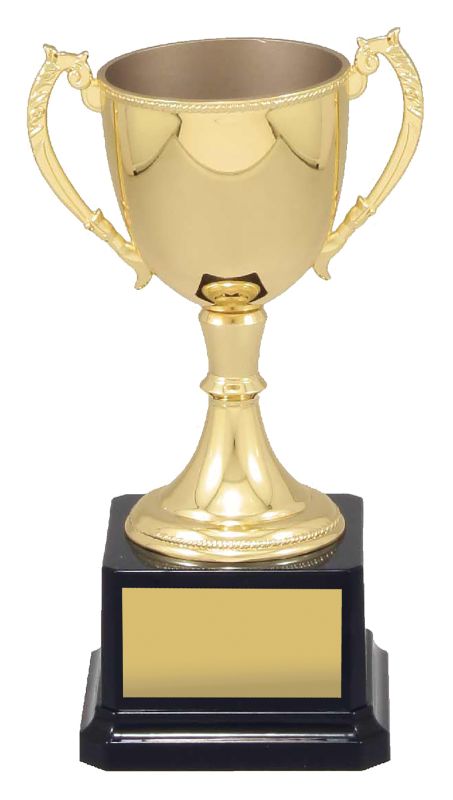 VT8 Engravable Cups 19.5cm