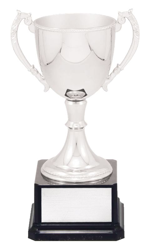 VT9-2 Engravable Cups 22cm