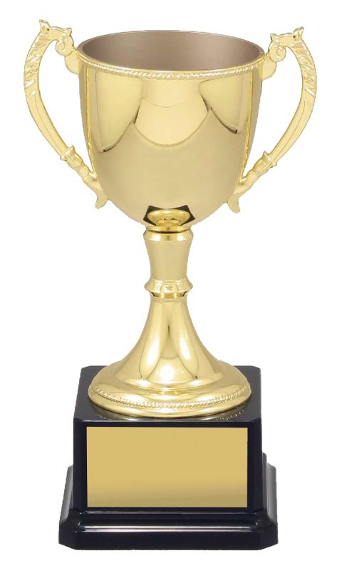 VT9 Engravable Cups 22cm