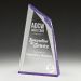 AC178C Acrylic Ballast Award 25.5cm