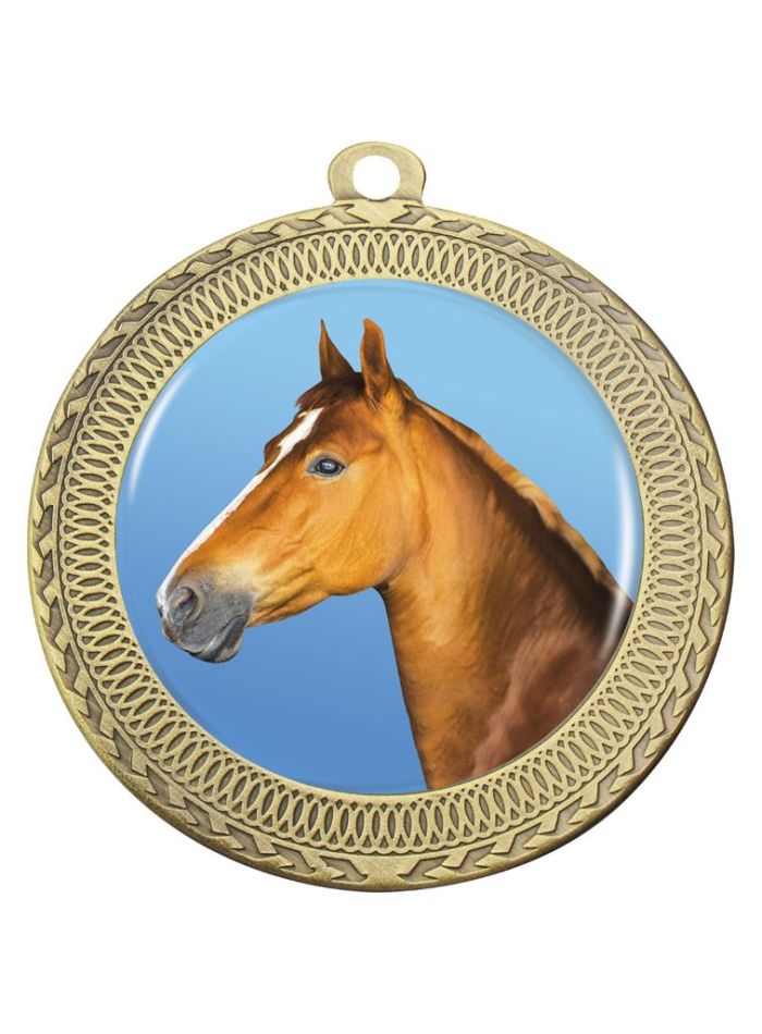 Horse Riding Medals Online Australia